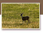Learn about our area